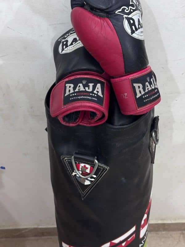 Punching bag with boxing gloves 1