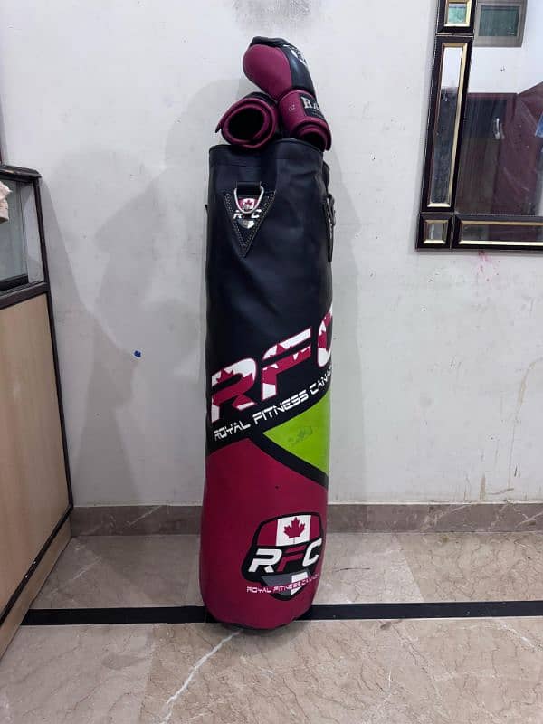 Punching bag with boxing gloves 2