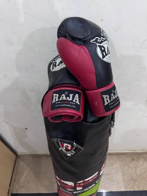 Punching bag with boxing gloves 3