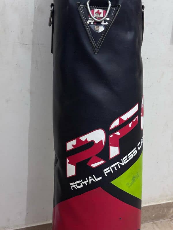 Punching bag with boxing gloves 4