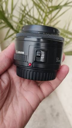 canon 50mm 1.8