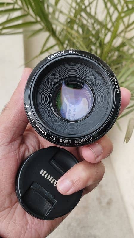 canon 50mm 1.8 1