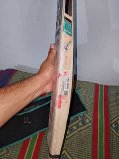 cricket bat C. a 10000 pro