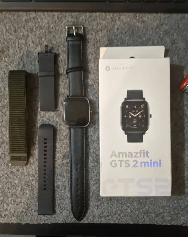 Amazfit GTS 2 mini New Global Version 0