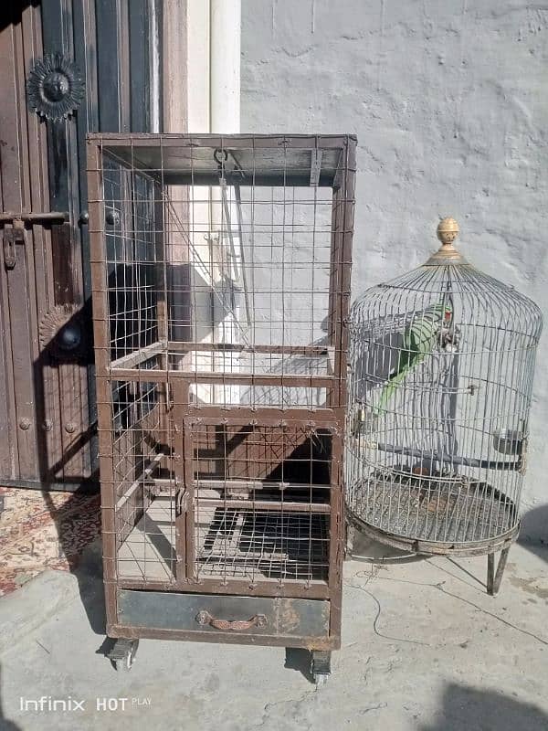 only cage for sale 3