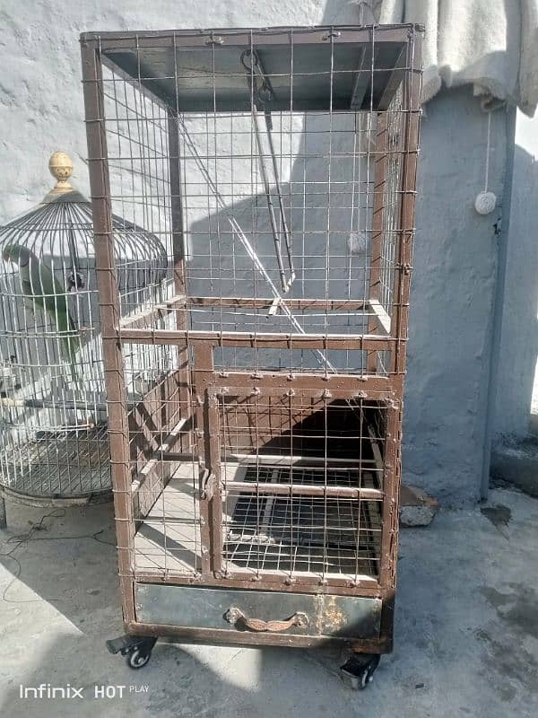 only cage for sale 4