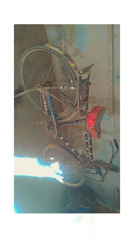 sohrab cycle 24 inch 0