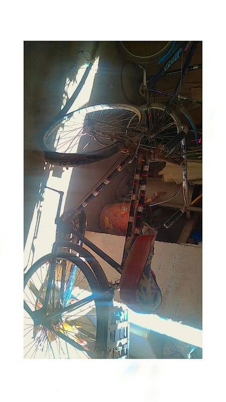 sohrab cycle 24 inch 1