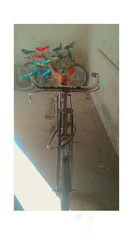 sohrab cycle 24 inch 3