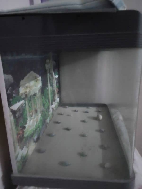 Fish Aquarium is for sale 0