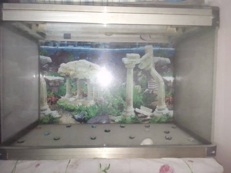 Fish Aquarium is for sale 1