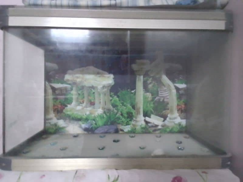 Fish Aquarium is for sale 2