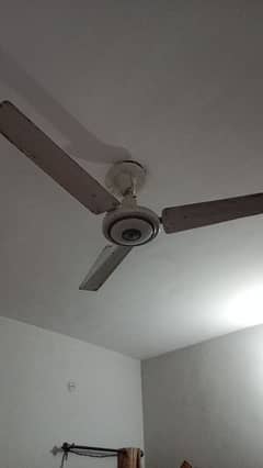 used fans