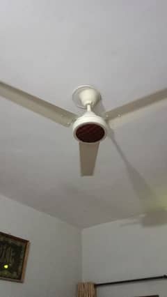 used fans