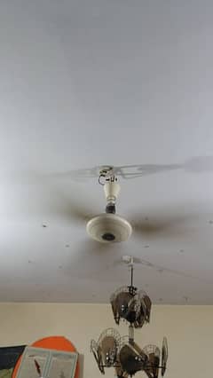 milat fan for sale used