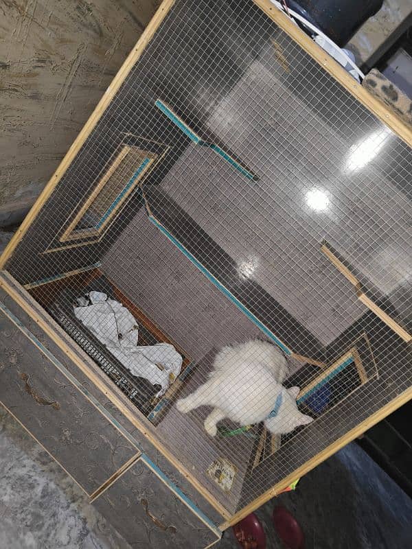 cat cage in good condition 1