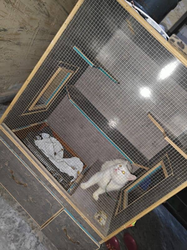 cat cage in good condition 2