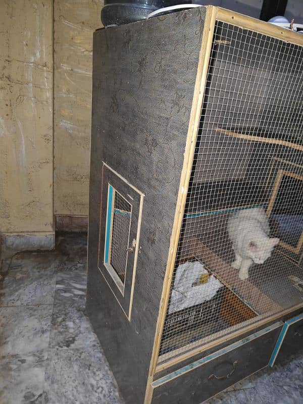 cat cage in good condition 3