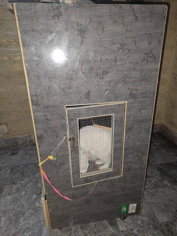 cat cage in good condition 5