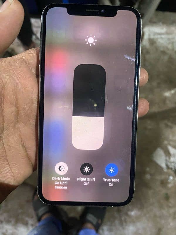 iPhone X bypass 1