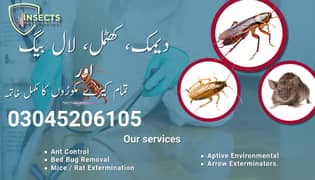 Pest Control Services Termite Control Deemak Control Fumigation Spray