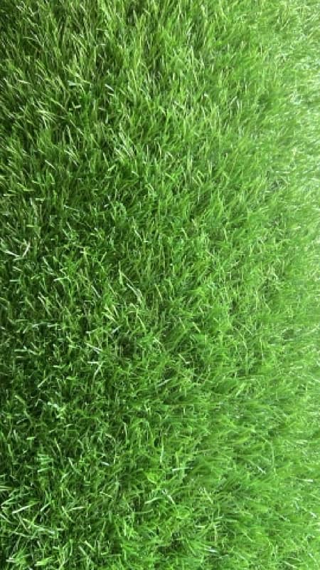 artificial grass 1