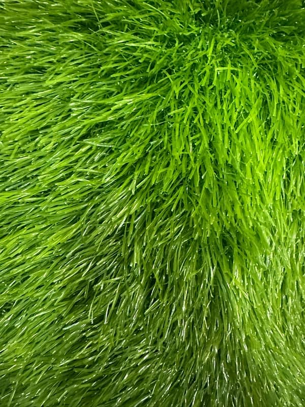 artificial grass 2