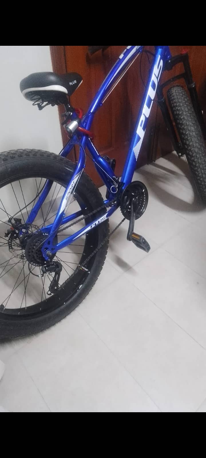 Imported PLUS Fat Bike 0