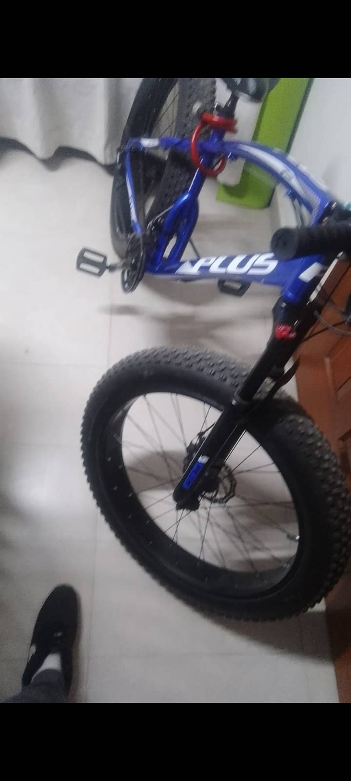 Imported PLUS Fat Bike 1