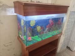 Fish Aquarium Tank