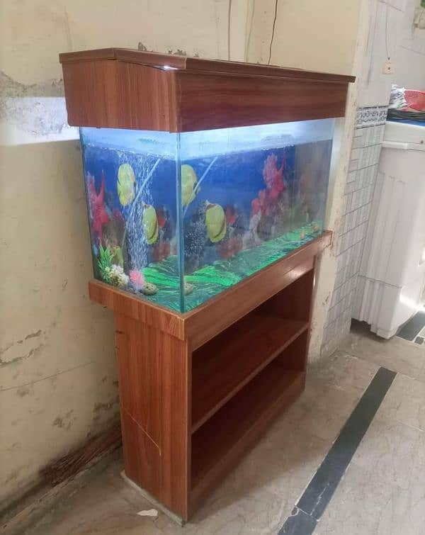 Fish Aquarium Tank 1