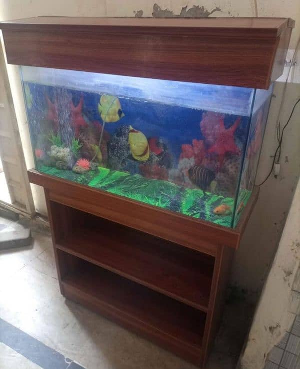 Fish Aquarium Tank 2