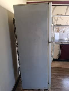 pel fridge refrigerator  2300 lush condition