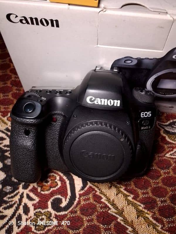 Canon 6D Mark II 2