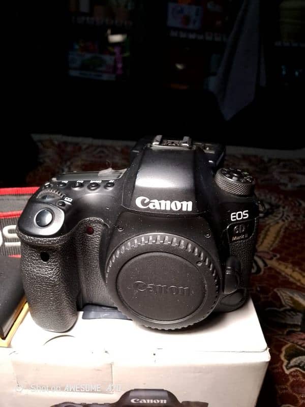 Canon 6D Mark II 4