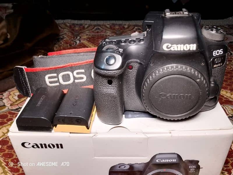 Canon 6D Mark II 8