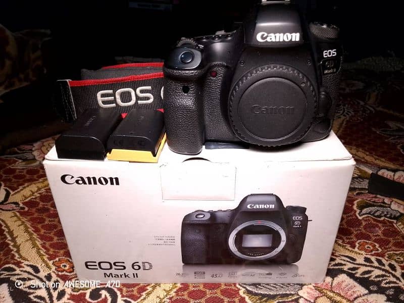 Canon 6D Mark II 9