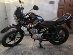 Yamaha ybr G for sale urgent