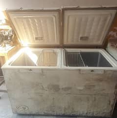 double door freezer full size