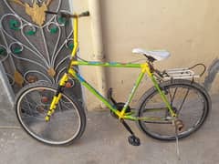 rode bicycle