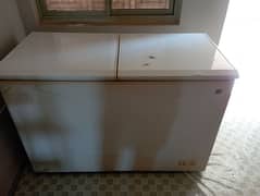 2 Door D Freezer Company PEL Condition 9/9