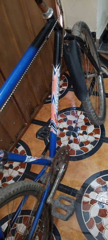 phoenix cycle, Used good condition 2