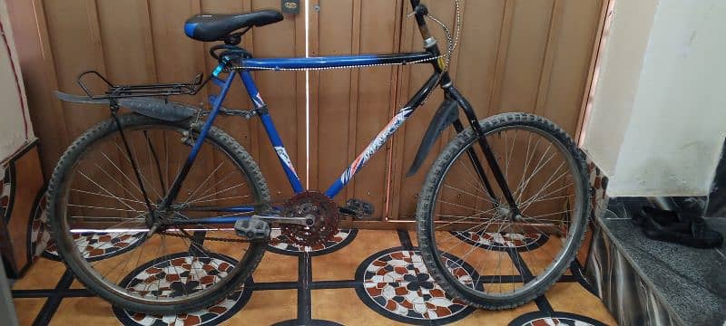 phoenix cycle, Used good condition 4