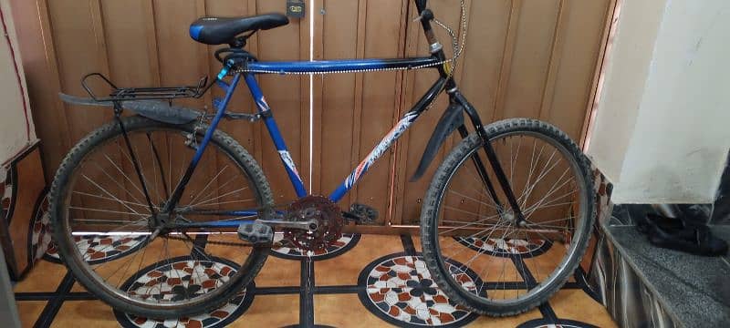 phoenix cycle, Used good condition 5