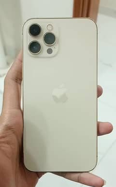 i phone 12 pro max 256gb official approved