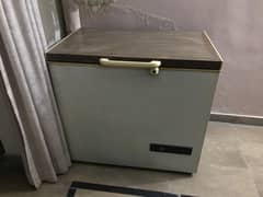 Philips Deep Freezer for Sale (Needs Compressor Replacement)