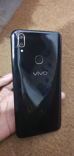 Vivo