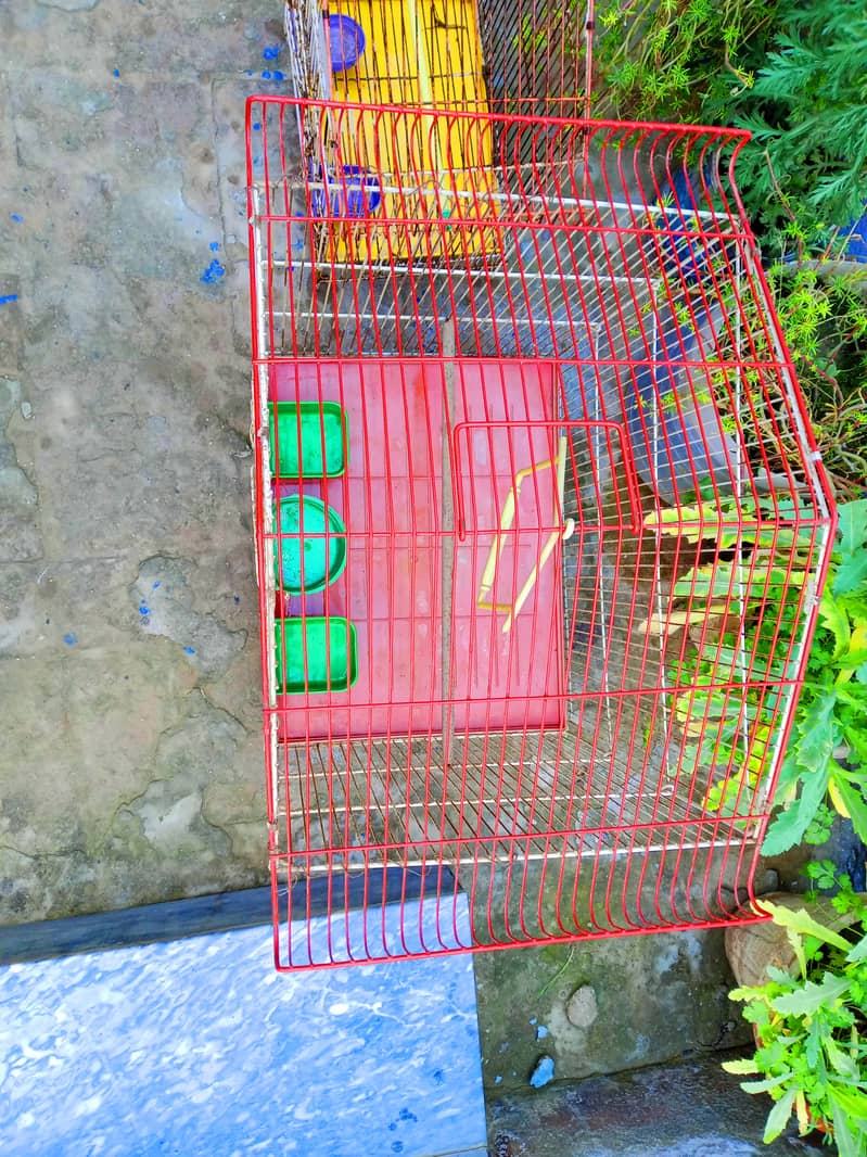 Cage for parrots 1