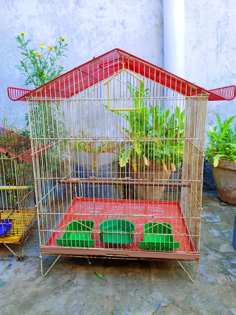 Cage for parrots 3