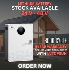 lvtopsun lithium battery 24v 48 v